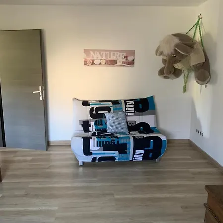 T2